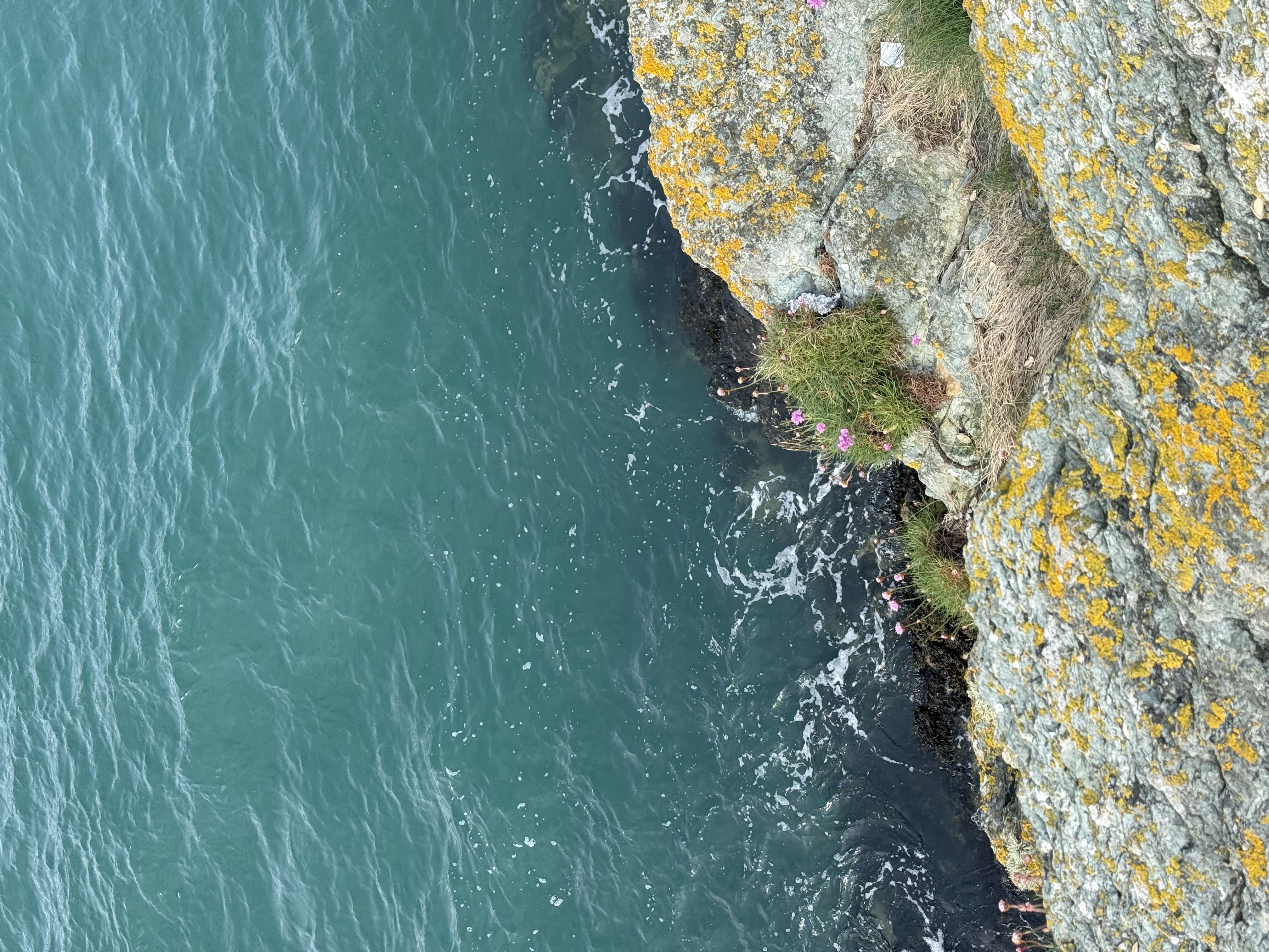 birds eye view of water and a cliff