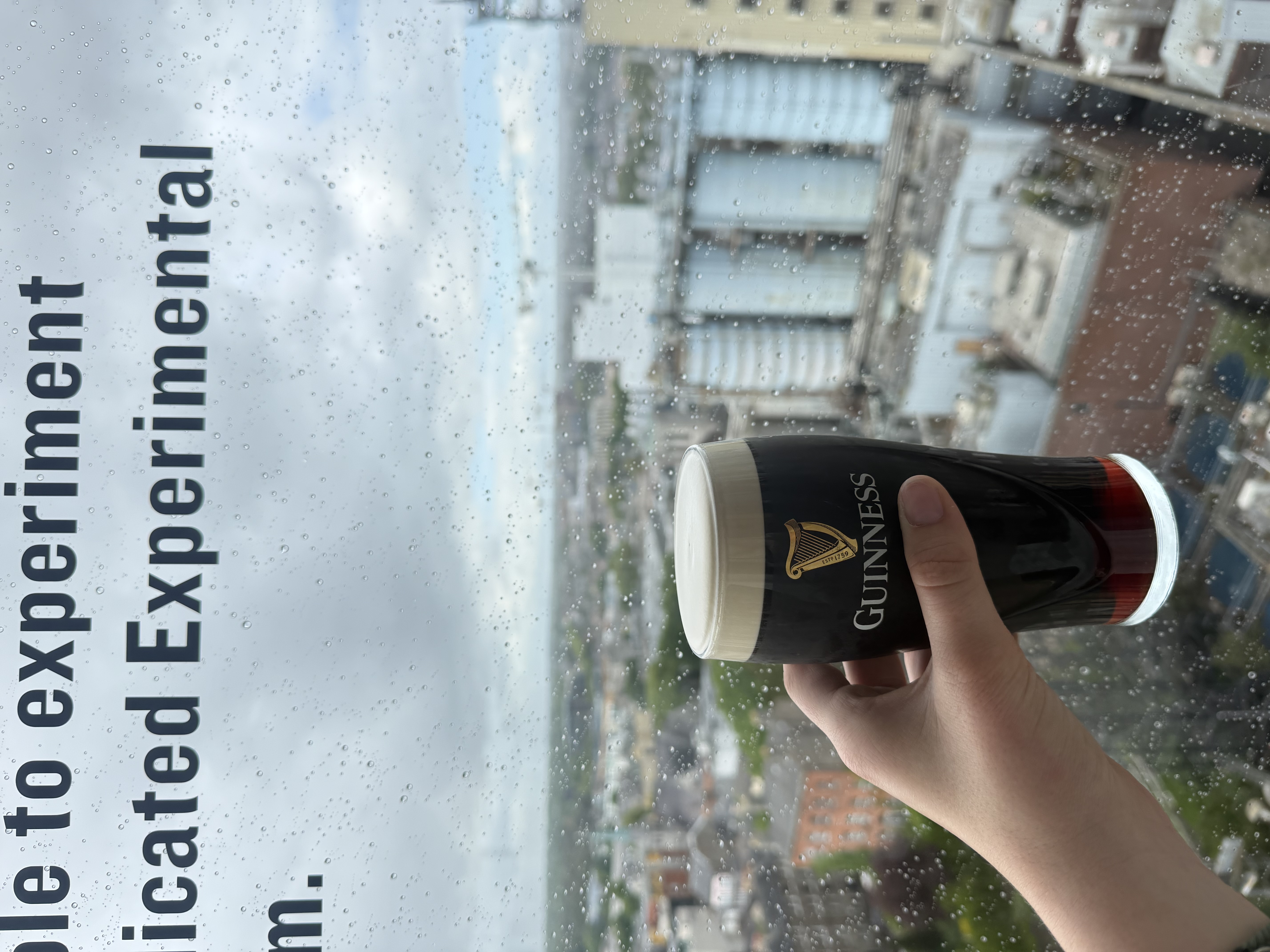 A guinness pint in front of a window
