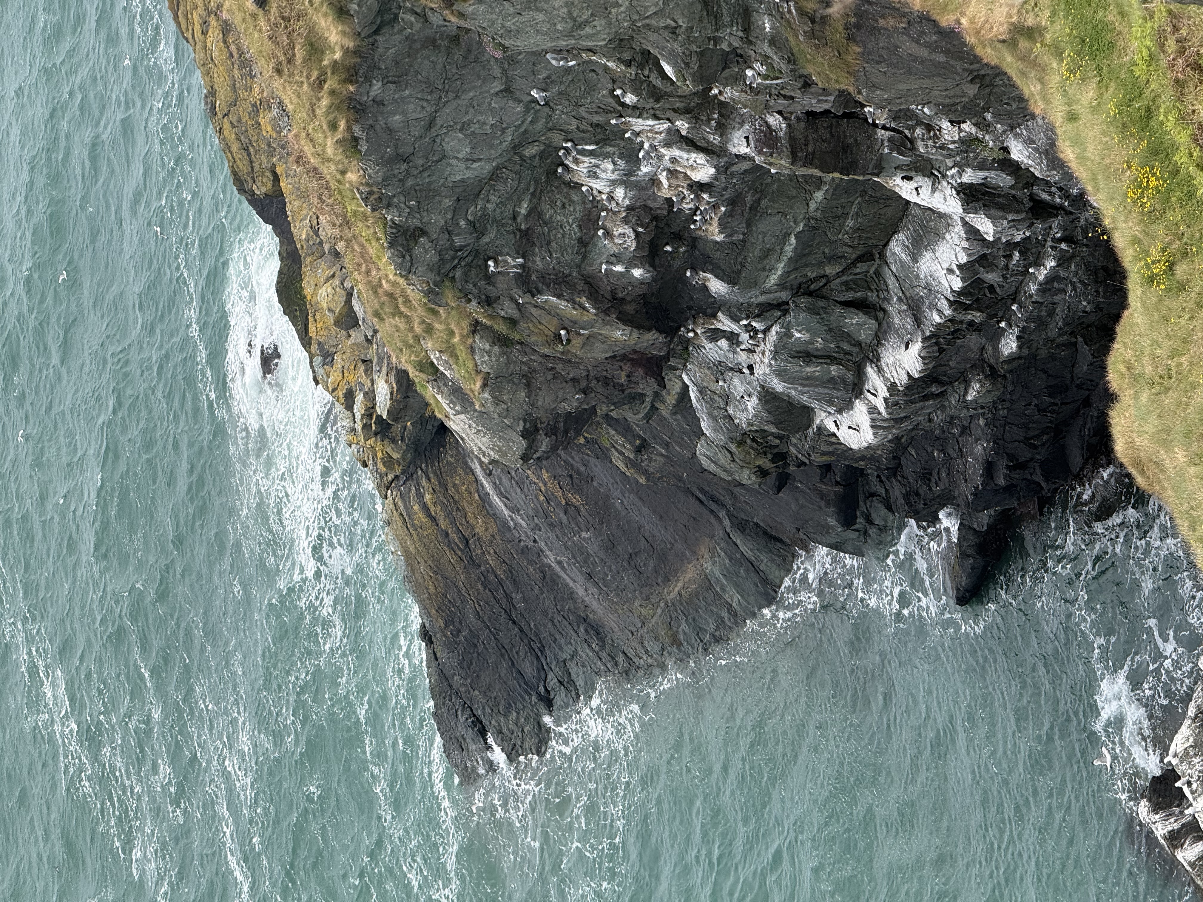 a cliff into the ocean