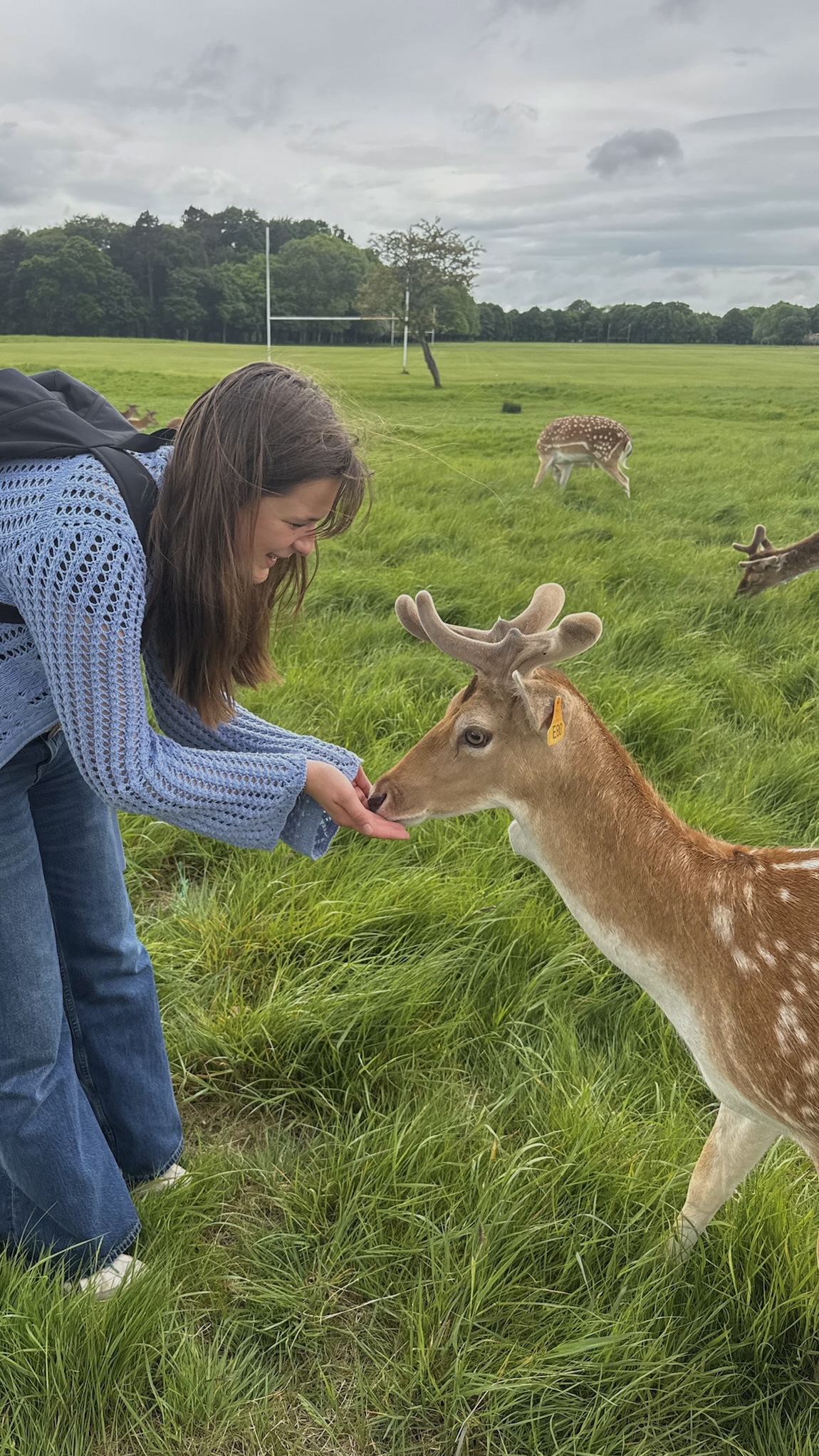 Mia feeding a deer