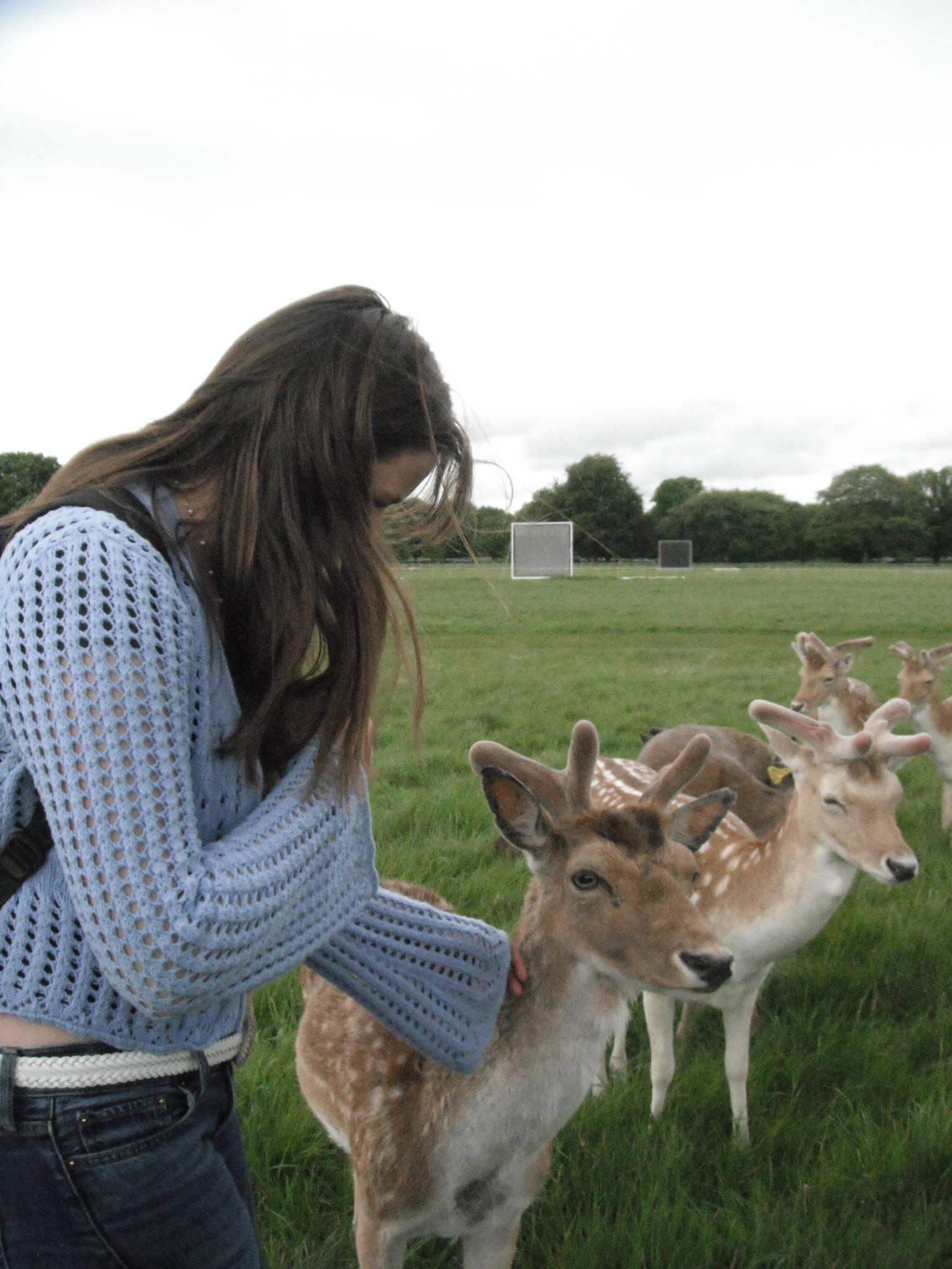 Mia petting a deer
